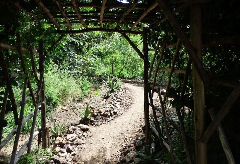 هتل Kikonko Lodge