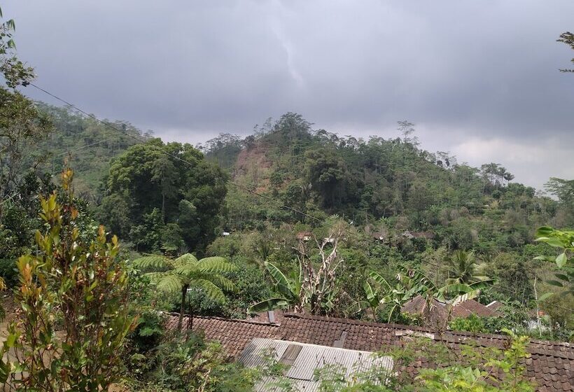 فندق Kus Homestay