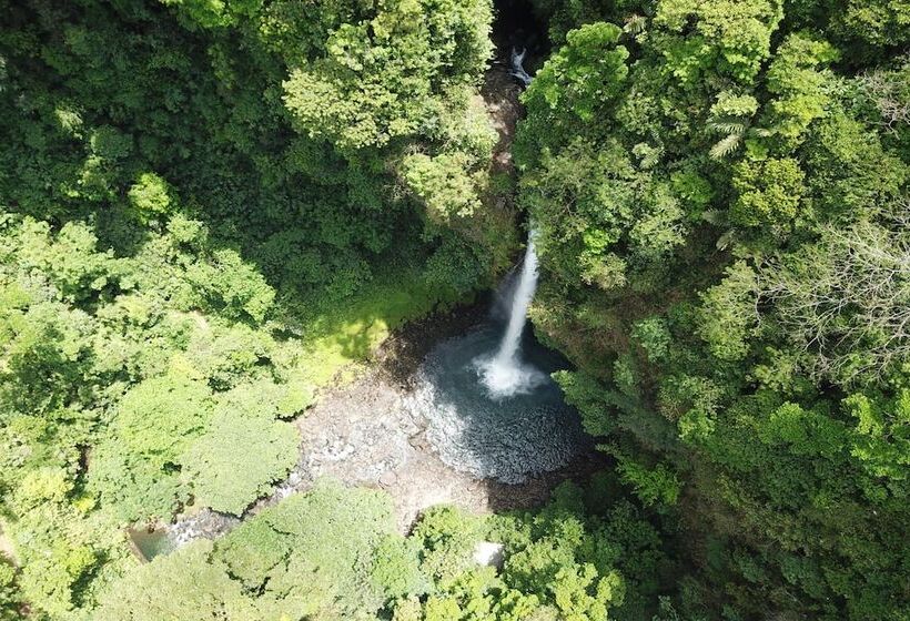 فندق La Fortuna Lodge