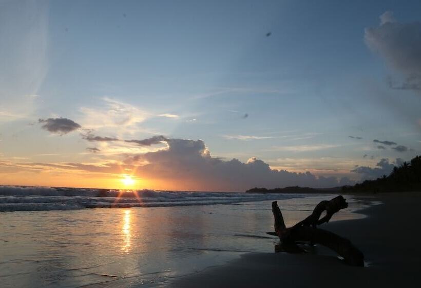 هتل Labros Adventure Camp And Waterfront