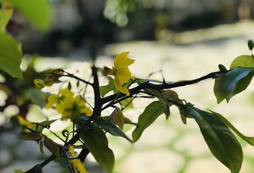 هتل Lagi 1001 Nights