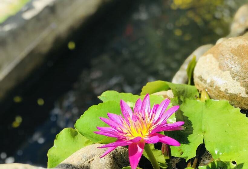 هتل Lagi 1001 Nights