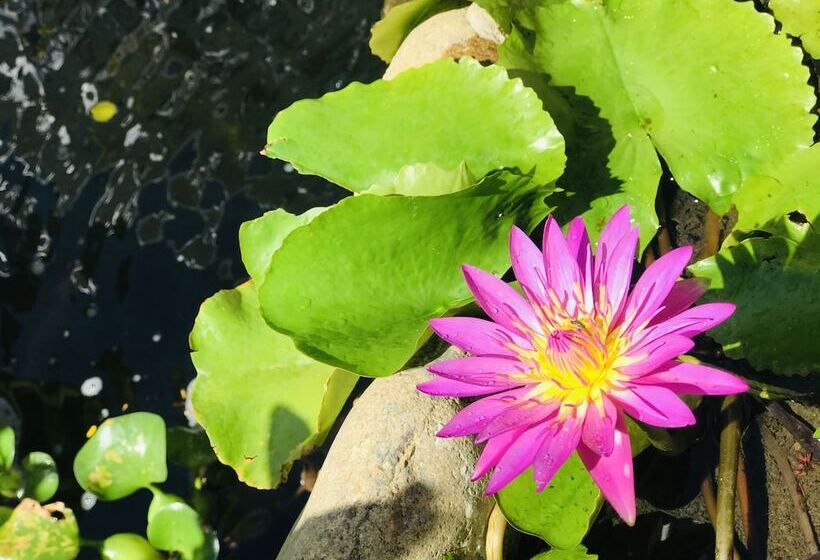 هتل Lagi 1001 Nights