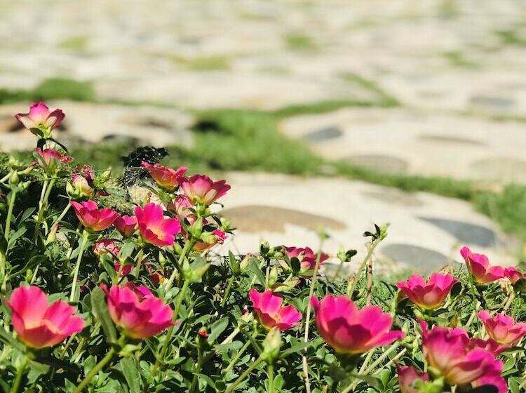 هتل Lagi 1001 Nights