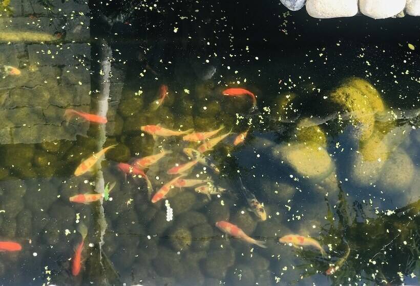 هتل Lagi 1001 Nights