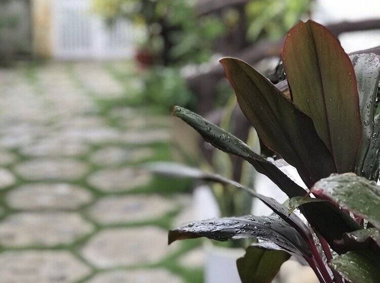 هتل Lagi 1001 Nights