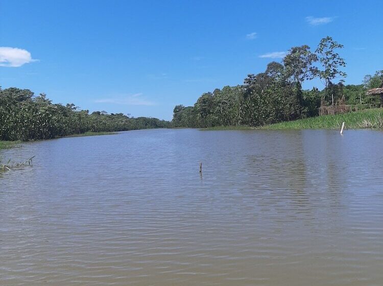 호텔 Lupuna Jungle Tours And Expeditions