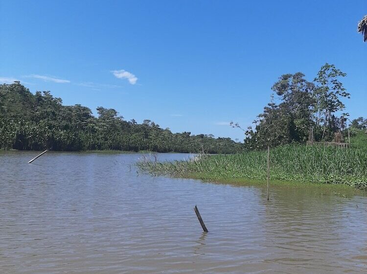 호텔 Lupuna Jungle Tours And Expeditions