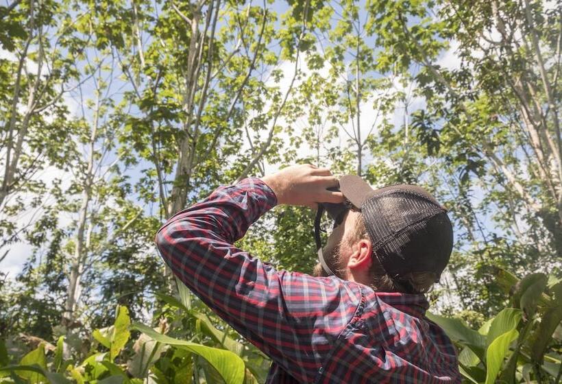 호텔 Lupuna Jungle Tours And Expeditions