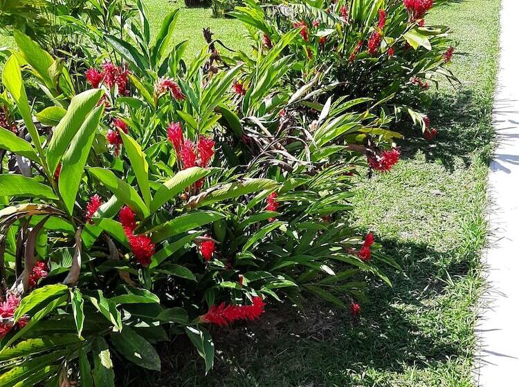 호텔 Lupuna Jungle Tours And Expeditions