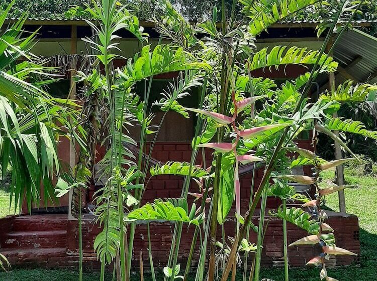 호텔 Lupuna Jungle Tours And Expeditions