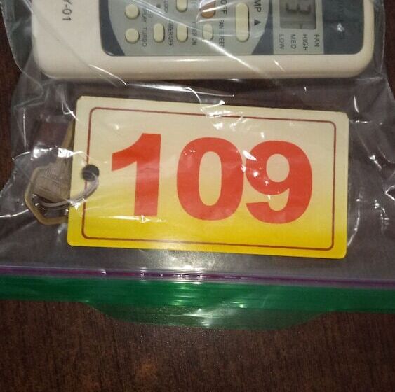 בית מלון כפרי Mary Plaza