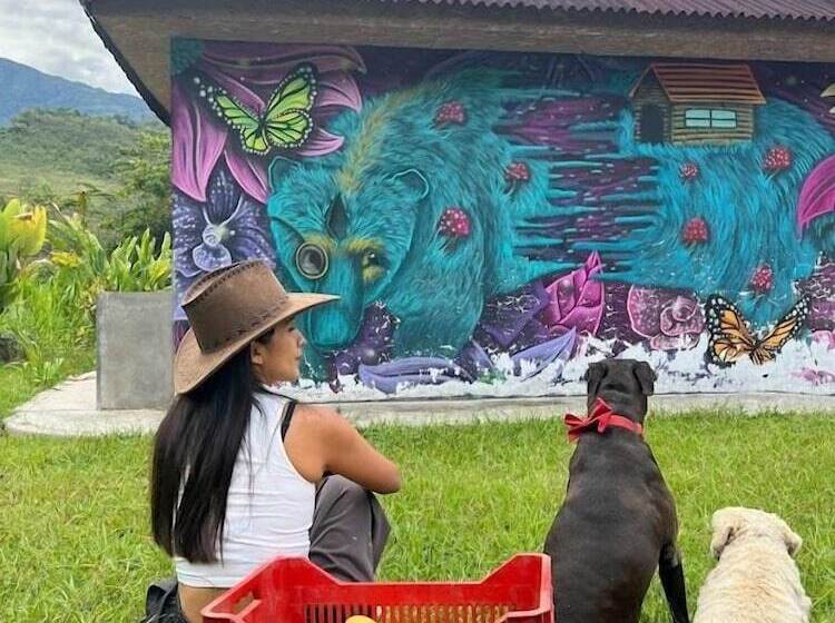 هتل Mercedes Lodge