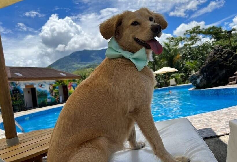 هتل Mercedes Lodge