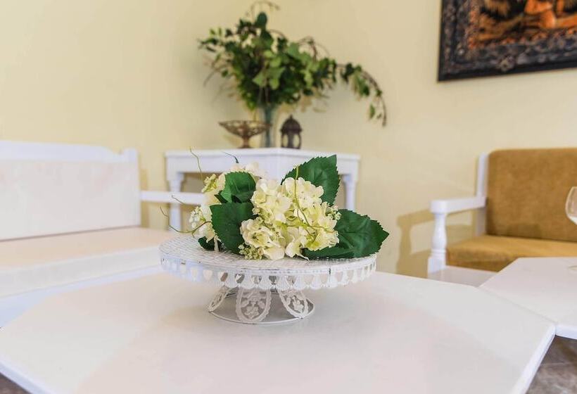 酒店 Oasis Studios