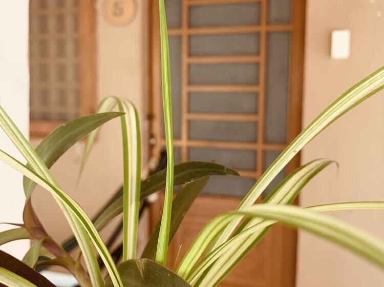 هتل Phuc Sinh Homestay