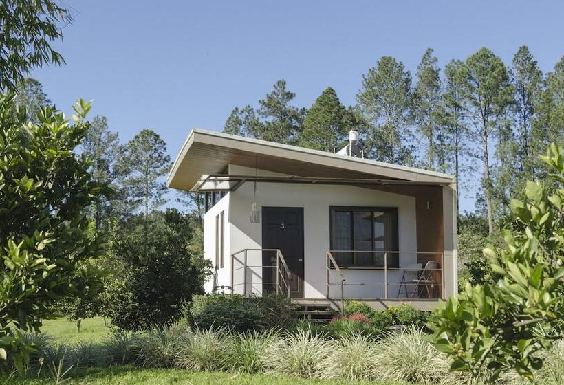 هتل Posada Cañaveral