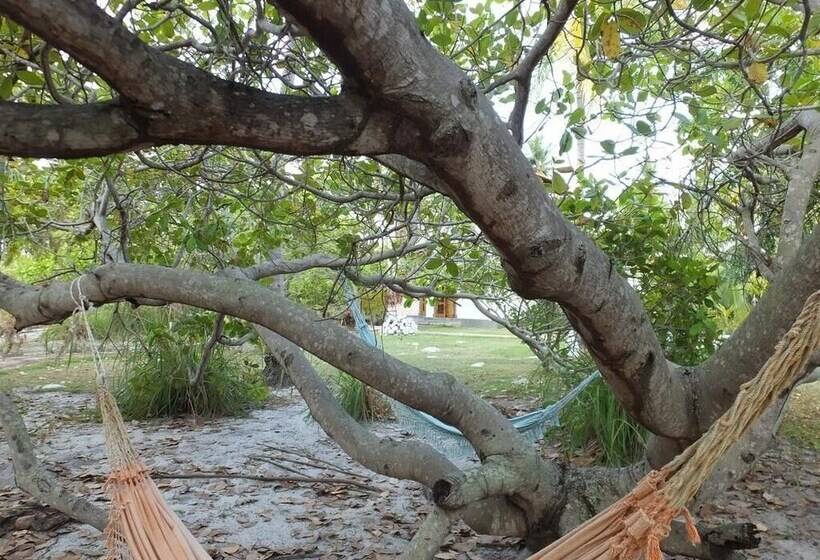 酒店 Pousada Batel