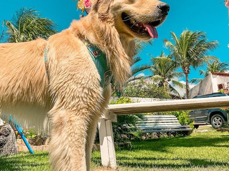 ホテル Pousada La Goduria