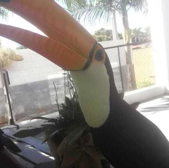 ホテル Pousada Manaca