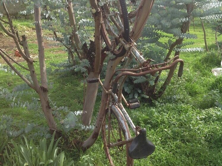 فندق Rancho El Caballero