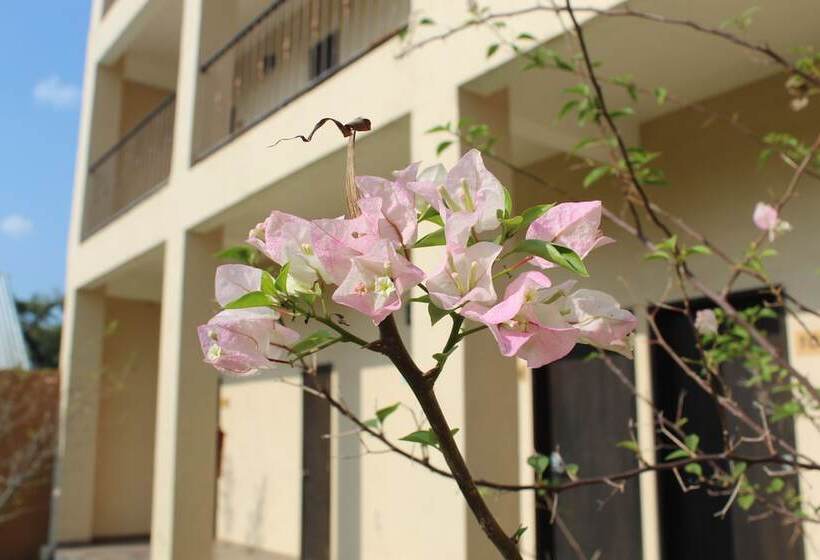 فندق Real De Guadalupe