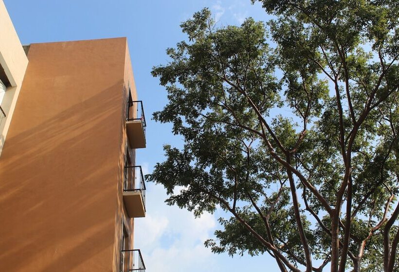 فندق Real De Guadalupe