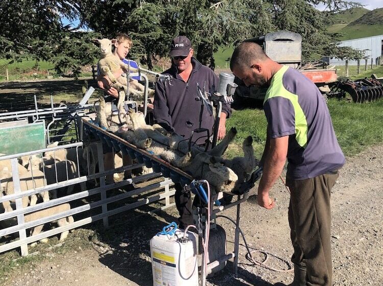 Сельский отель Pahau Downs