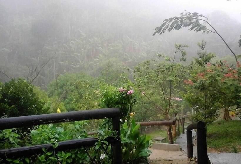 בית מלון כפרי Saira Recanto De Serra