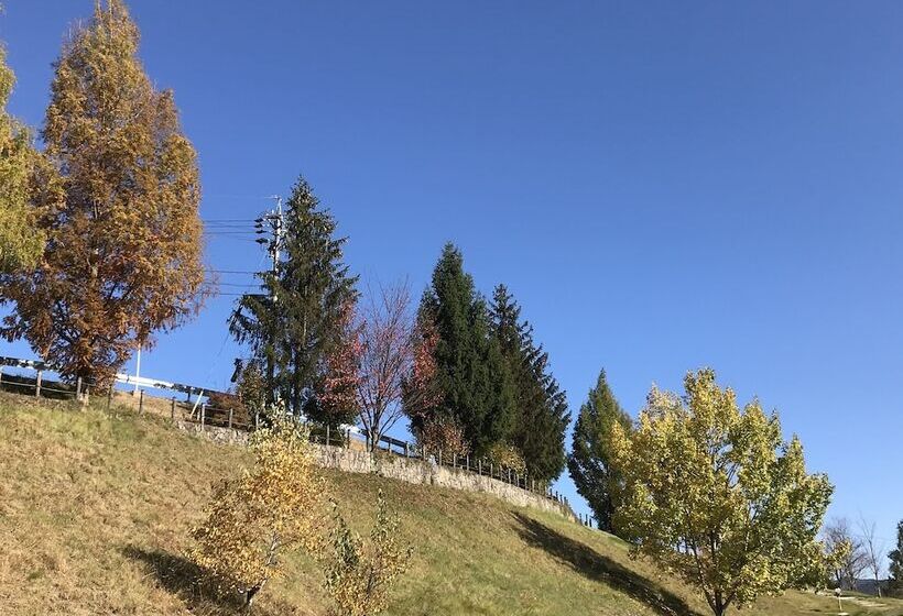 فندق Sehongarten Omi