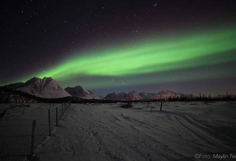 酒店 Svensby Tursenter