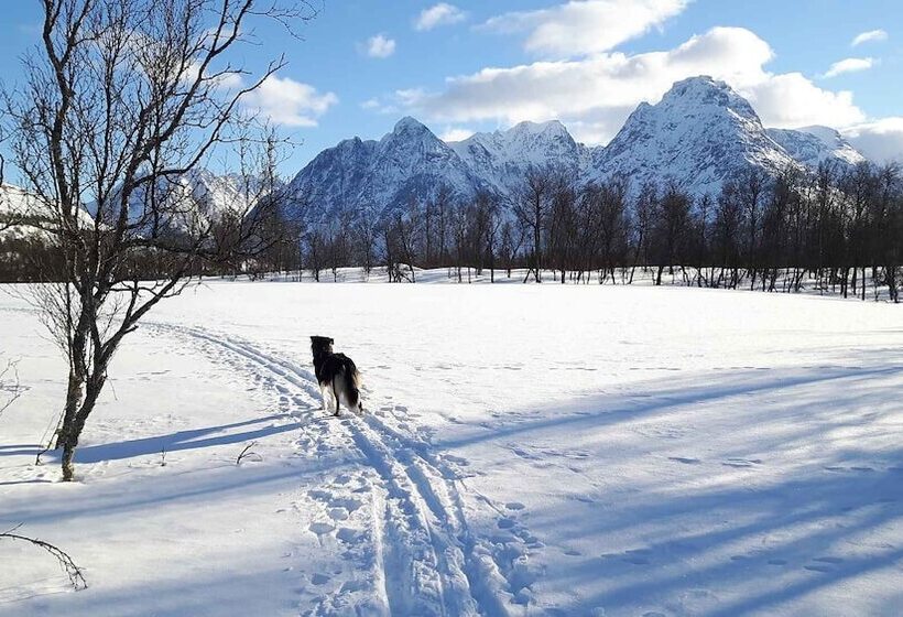 酒店 Svensby Tursenter