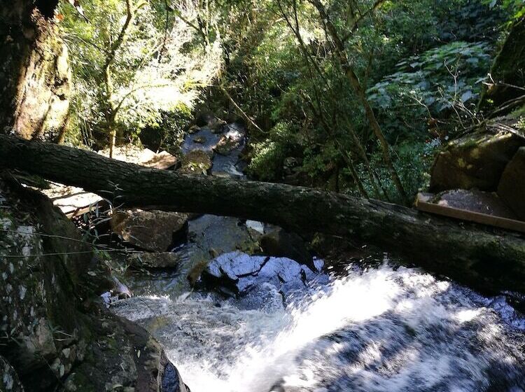 酒店 Tacuapí Lodge