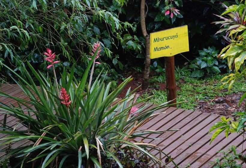 酒店 Tacuapí Lodge