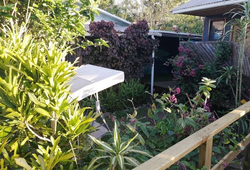 فندق Tuava Lodge