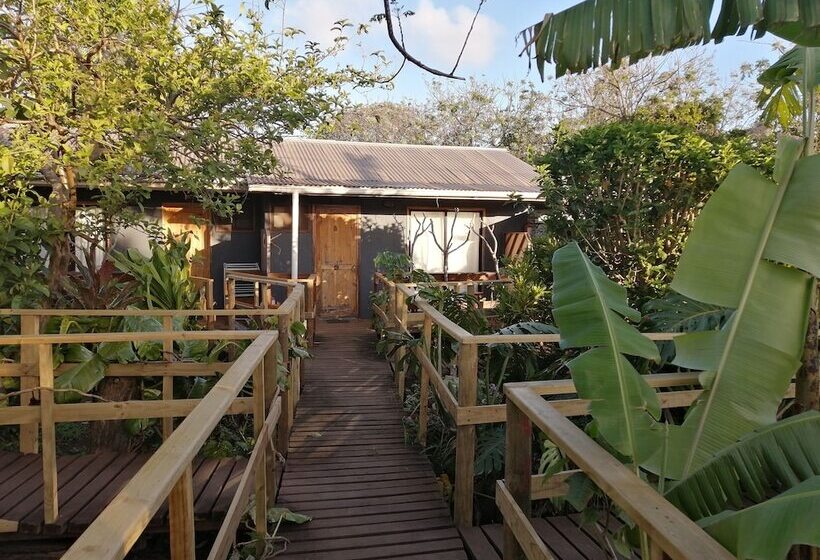 ホテル Tuava Lodge