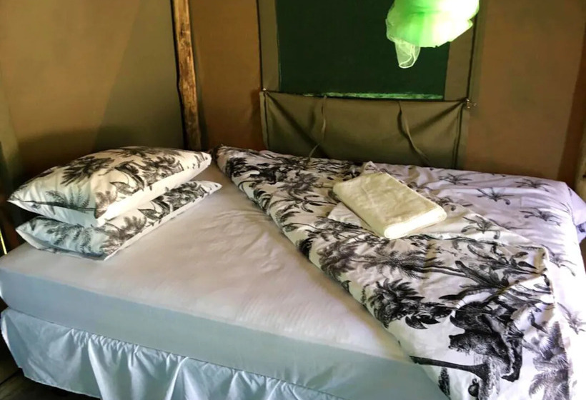 旅馆 Twyfelfontein Tented Camp