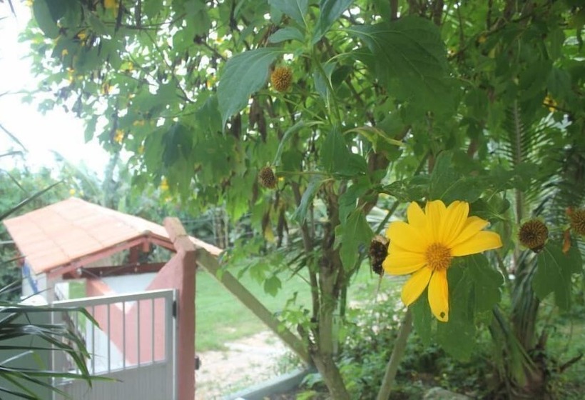 فندق Val Paraiso Pousada