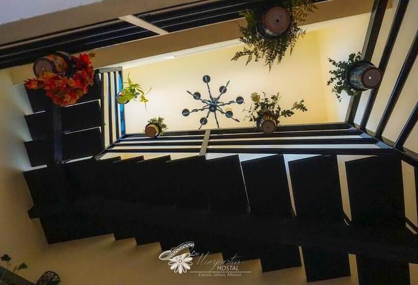 Las Margaritas Hostal