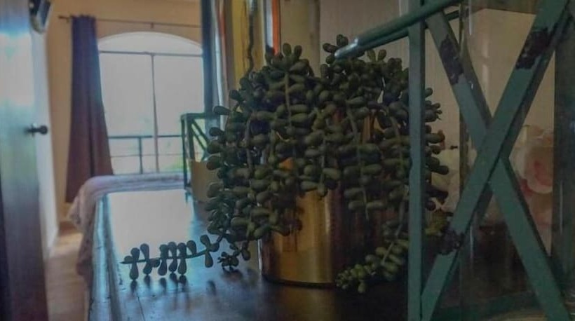 Las Margaritas Hostal