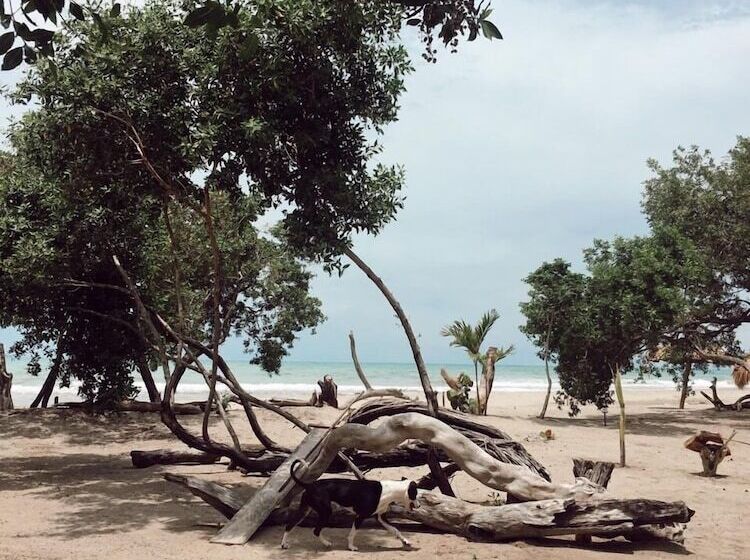 Maleiwa Beach Hostel