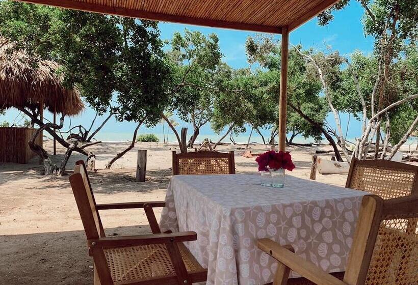 Maleiwa Beach Hostel