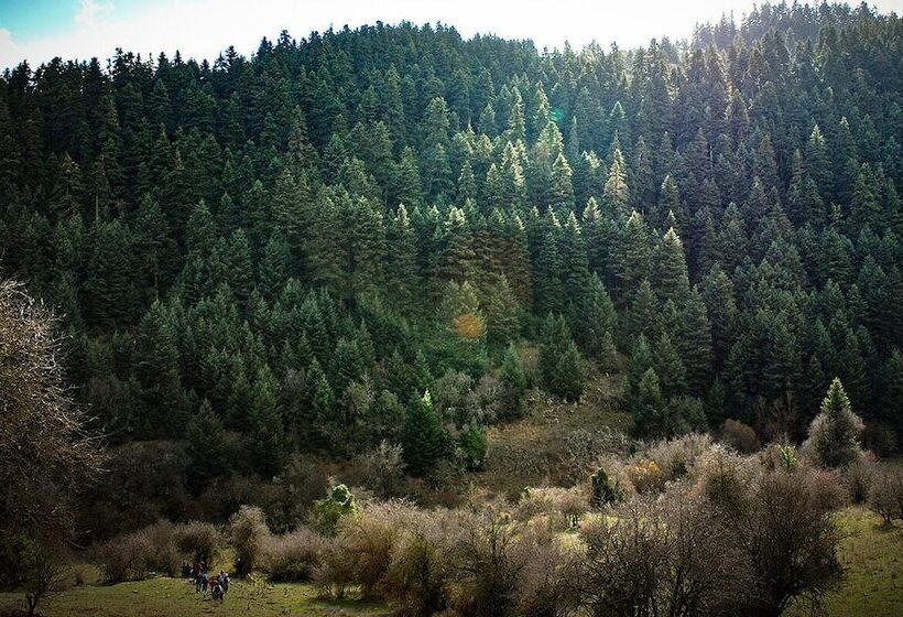 Mylaon Boutique Hotel & Spa