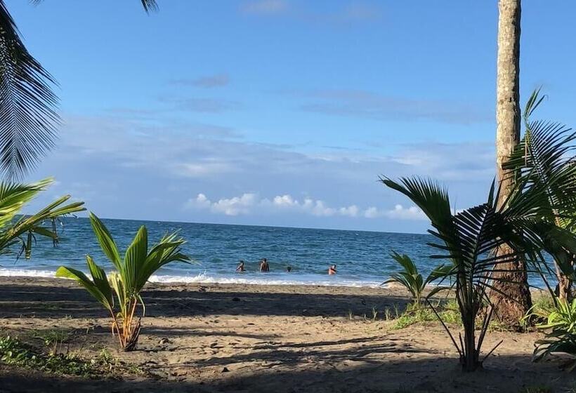 بنسيون Colores Hostel