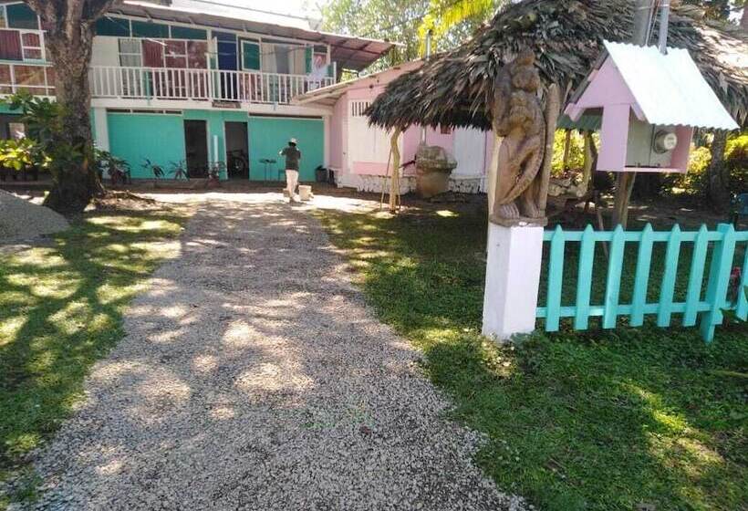 بنسيون Colores Hostel