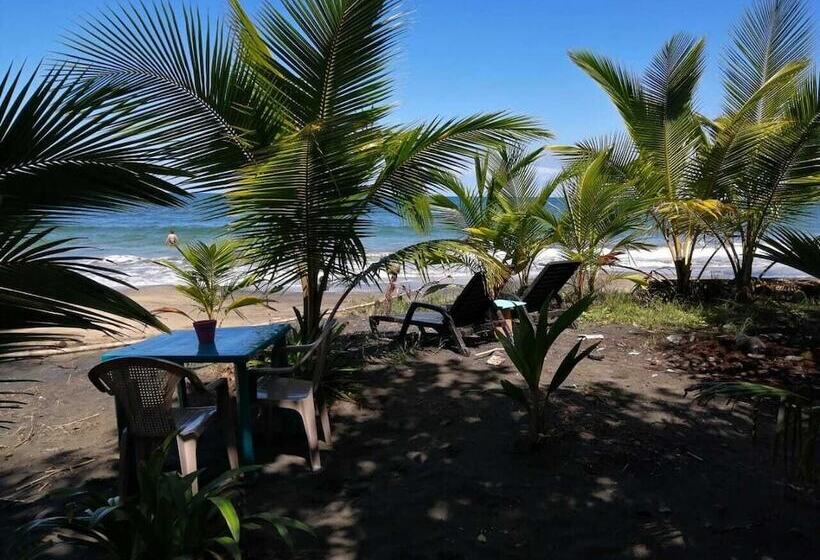 بنسيون Colores Hostel