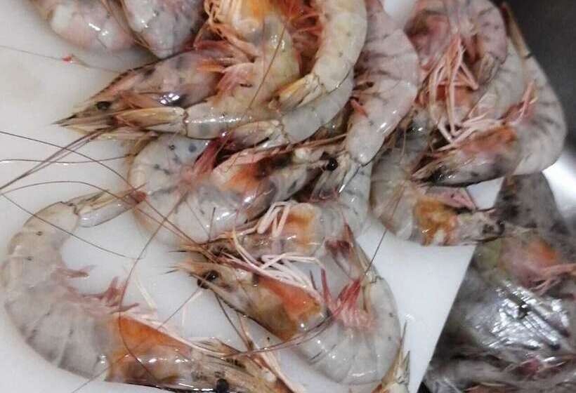 بنسيون Colores Hostel