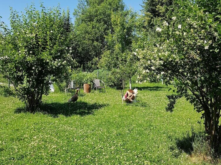 פנסיון Dream Village