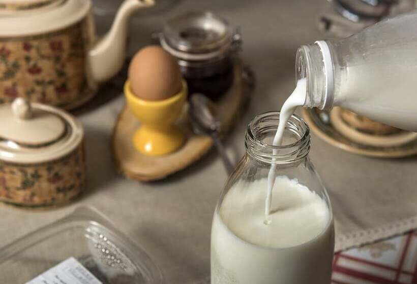 פנסיון Dream Village