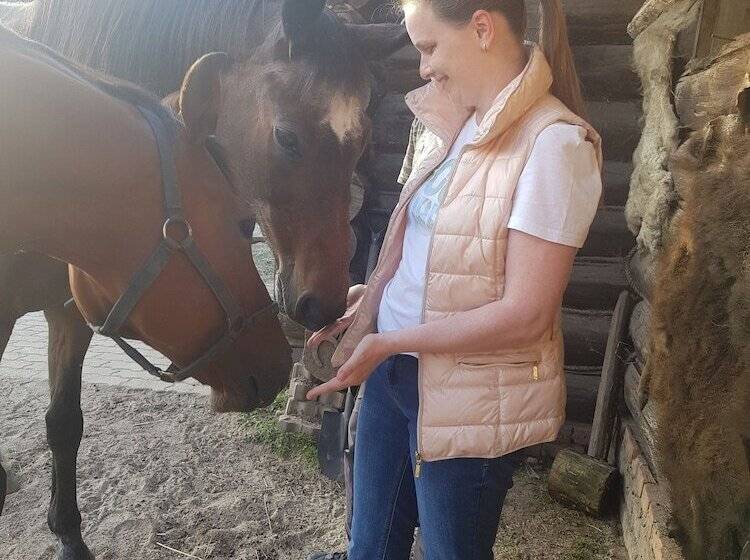 פנסיון Dream Village